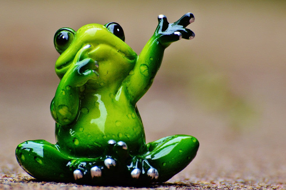 Frogs- Cute little creatures of great significance